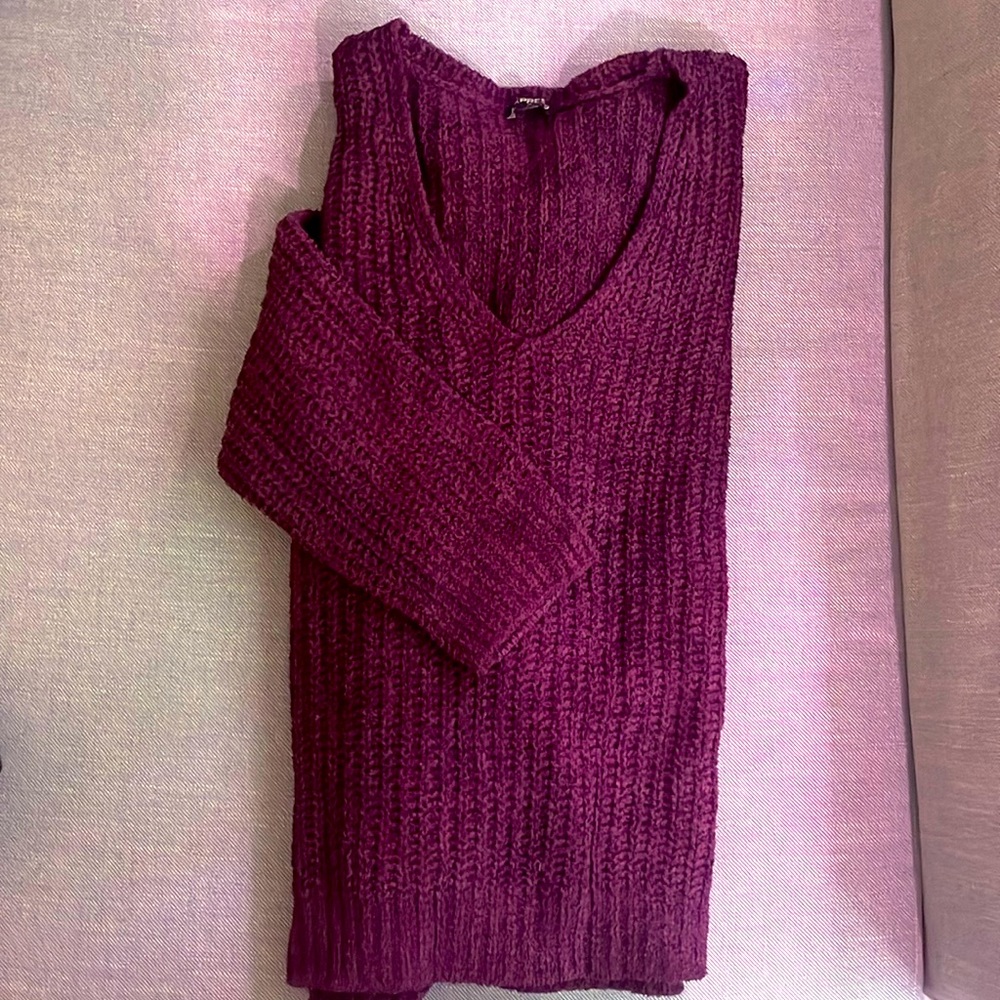 Express, size Medium, Womans sweater